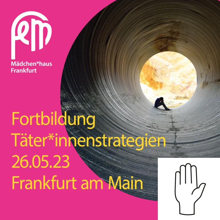 Fortbildung Täter*innenstrategien